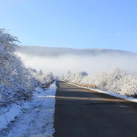Nature 게스트하우스