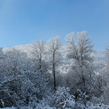 Nature Penzion *