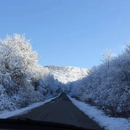 Nature Πανσιόν