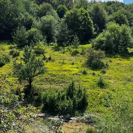 Πανσιόν Nature *